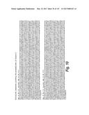 ANTI-C-MET TANDEM FC BISPECIFIC ANTIBODIES diagram and image