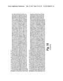 ANTI-C-MET TANDEM FC BISPECIFIC ANTIBODIES diagram and image