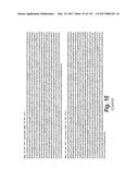 ANTI-C-MET TANDEM FC BISPECIFIC ANTIBODIES diagram and image