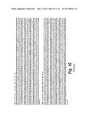 ANTI-C-MET TANDEM FC BISPECIFIC ANTIBODIES diagram and image