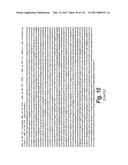 ANTI-C-MET TANDEM FC BISPECIFIC ANTIBODIES diagram and image