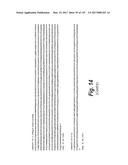 ANTI-C-MET TANDEM FC BISPECIFIC ANTIBODIES diagram and image