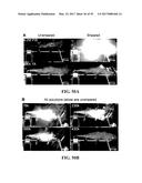 ASSOCIATIVE POLYMERS FOR USE IN A FLOW AND RELATED COMPOSITIONS, METHODS     AND SYSTEMS diagram and image