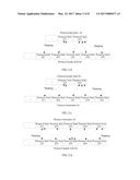 Packet Edit Processing Method and Related Device diagram and image