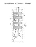 Endoscopic Systems, Devices, and Methods for Performing In Vivo Procedures diagram and image