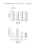 METHODS FOR TREATMENT OF VASCULAR ENDOTHELIAL DYSFUNCTION USING     NICOTINAMIDE MONONUCLEOTIDE diagram and image