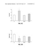 METHODS FOR TREATMENT OF VASCULAR ENDOTHELIAL DYSFUNCTION USING     NICOTINAMIDE MONONUCLEOTIDE diagram and image