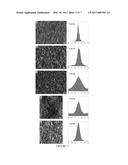 Preparation of Coatings Containing At Least One In-Plane Oriented Layer of     Anisotropic Shaped Objects diagram and image