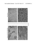 Preparation of Coatings Containing At Least One In-Plane Oriented Layer of     Anisotropic Shaped Objects diagram and image