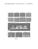 LAYERLESS BIOPRINTING VIA DYNAMIC OPTICAL PROJECTION AND USES THEREOF diagram and image