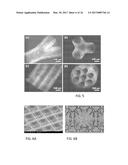 LAYERLESS BIOPRINTING VIA DYNAMIC OPTICAL PROJECTION AND USES THEREOF diagram and image