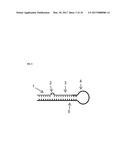 METHODS AND COMPOSITIONS FOR CONTROLLING GENE EXPRESSION AND TREATING     CANCER diagram and image