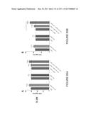 PVRIG POLYPEPTIDES AND METHODS OF TREATMENT diagram and image
