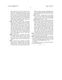 Echinacea plant named  RAINB299  diagram and image