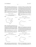 ALKYNYL INDAZOLE DERIVATIVE AND USE THEREOF diagram and image