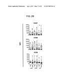 METHOD FOR DIAGNOSING FIBROMYALGIA SYNDROME, AND KIT THEREFOR diagram and image