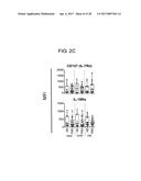 METHOD FOR DIAGNOSING FIBROMYALGIA SYNDROME, AND KIT THEREFOR diagram and image