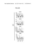 METHOD FOR DIAGNOSING FIBROMYALGIA SYNDROME, AND KIT THEREFOR diagram and image