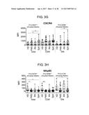 METHOD FOR DIAGNOSING FIBROMYALGIA SYNDROME, AND KIT THEREFOR diagram and image