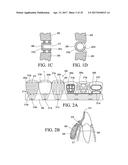 ORTHODONTIC ASSEMBLY diagram and image