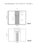 STENT ASSEMBLY FOR THORACOABDOMINAL BIFURCATED ANEURYSM REPAIR diagram and image