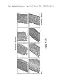 CULTURED CELL LEAFLET MATERIAL diagram and image