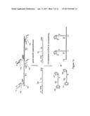 MULTIPLEX NUCLEIC ACID DETECTION METHODS AND SYSTEMS diagram and image