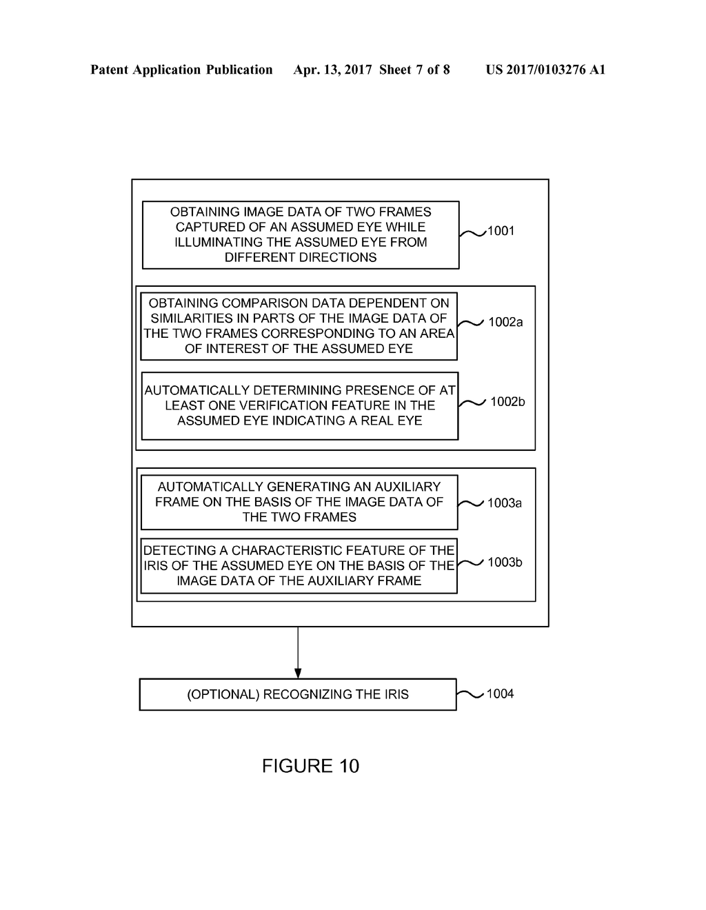 IRIS RECOGNITION - diagram, schematic, and image 08