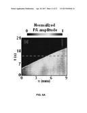 PHOTOACOUSTIC FLOWMETRY SYSTEMS AND METHODS diagram and image