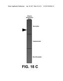 SYSTEM AND METHOD FOR ELECTROCARDIOGRAM ANALYSIS AND OPTIMIZATION OF     CARDIOPULMONARY RESUSCITATION AND THERAPY DELIVERY diagram and image