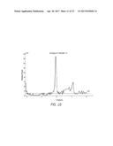 MR SPECTROSCOPY SYSTEM AND METHOD FOR DIAGNOSING PAINFUL AND NON-PAINFUL     INTERVERTEBRAL DISCS diagram and image