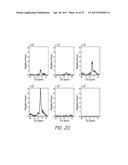 MR SPECTROSCOPY SYSTEM AND METHOD FOR DIAGNOSING PAINFUL AND NON-PAINFUL     INTERVERTEBRAL DISCS diagram and image