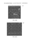 ULTRASOUND PROBE WITH INTEGRATED ELECTRONICS diagram and image