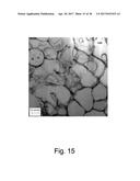 DEGRADABLE HEAT TREATABLE COMPONENTS diagram and image