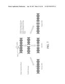 RIBONUCLEOPROTEIN TRANSFECTION AGENTS diagram and image