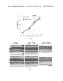 RETINYLAMINE DERIVITIVES FOR TREATMENT OF OCULAR DISORDERS diagram and image