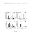 RETINYLAMINE DERIVITIVES FOR TREATMENT OF OCULAR DISORDERS diagram and image