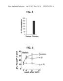 COMPOSITION FOR INDUCING PROLIFERATION OR ACCUMULATION OF REGULATORY T     CELLS diagram and image