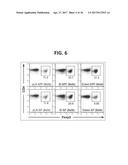 COMPOSITION FOR INDUCING PROLIFERATION OR ACCUMULATION OF REGULATORY T     CELLS diagram and image