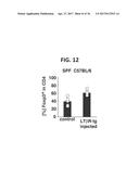 COMPOSITION FOR INDUCING PROLIFERATION OR ACCUMULATION OF REGULATORY T     CELLS diagram and image