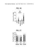 COMPOSITION FOR INDUCING PROLIFERATION OR ACCUMULATION OF REGULATORY T     CELLS diagram and image