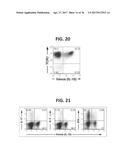 COMPOSITION FOR INDUCING PROLIFERATION OR ACCUMULATION OF REGULATORY T     CELLS diagram and image