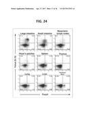 COMPOSITION FOR INDUCING PROLIFERATION OR ACCUMULATION OF REGULATORY T     CELLS diagram and image