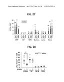 COMPOSITION FOR INDUCING PROLIFERATION OR ACCUMULATION OF REGULATORY T     CELLS diagram and image