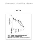 COMPOSITION FOR INDUCING PROLIFERATION OR ACCUMULATION OF REGULATORY T     CELLS diagram and image