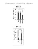 COMPOSITION FOR INDUCING PROLIFERATION OR ACCUMULATION OF REGULATORY T     CELLS diagram and image