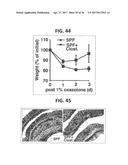 COMPOSITION FOR INDUCING PROLIFERATION OR ACCUMULATION OF REGULATORY T     CELLS diagram and image