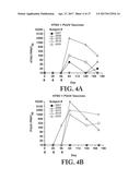 Gene Optimized Hantaan Virus M Segment DNA Vaccine For Hemorrhagic Fever     With Renal Syndrome diagram and image