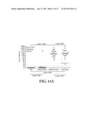 Gene Optimized Hantaan Virus M Segment DNA Vaccine For Hemorrhagic Fever     With Renal Syndrome diagram and image