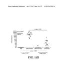 Gene Optimized Hantaan Virus M Segment DNA Vaccine For Hemorrhagic Fever     With Renal Syndrome diagram and image